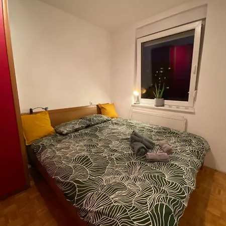 V Zmajevem Gnezdu Homestay *